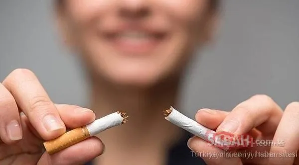 Sigara zammı ile ilgili açıklama geldi! 6 Aralık Sigaraya zam geldi mi, güncel sigara fiyatları listesi ne kadar, kaç TL oldu?