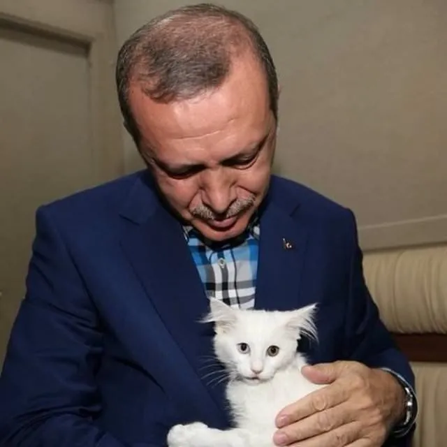 Erdoğan’ın fotoğrafları ilgi görüyor
