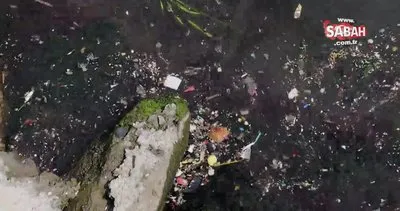 Haliç’te rezalet görüntü! Denizde çöp deryaları oluştu, fareler kol geziyor | Video