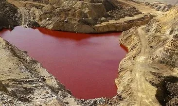 Gölet kızıla boyandı