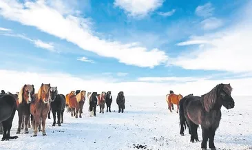 İzlanda’nın saklı güzellikleri