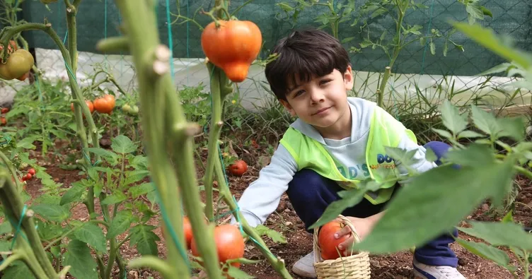Miniklerin ilk hasadı depremzedelere