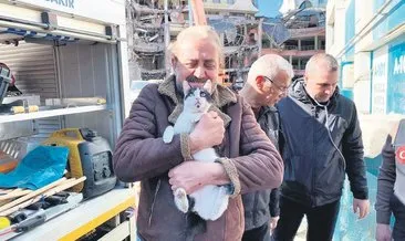Kurtarılan kedi sayısı 13 oldu #diyarbakir