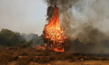 Yunanistan’da orman yangını!