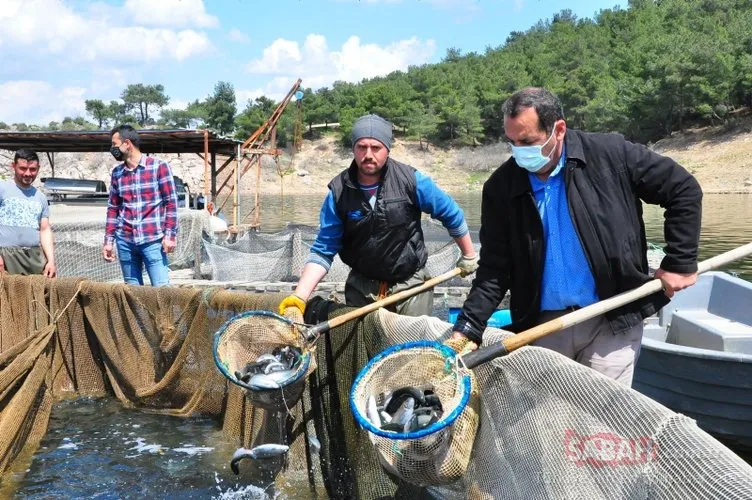 Denizi olmayan Manisa’dan dünyaya balık ihracı: Ülkeler sıraya girdi...