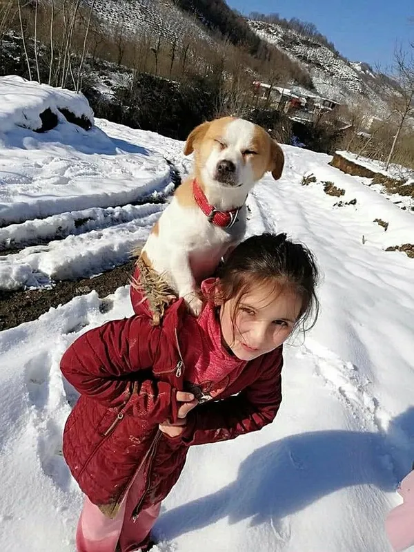 Ordu’da 10 yaşındaki Cemre köpeği Pamuk’u sırtında veterinere götürdü - 3