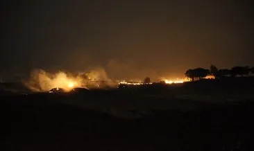 Diyarbakır'ın 3 ilçesinde ormanlık ve tarım alanlarında çıkan yangınlar söndürüldü #diyarbakir