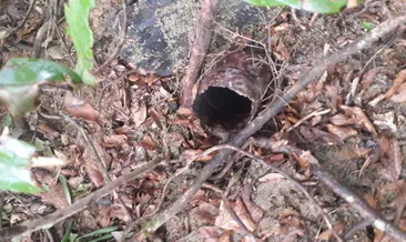 Giresun’da terör operasyonu