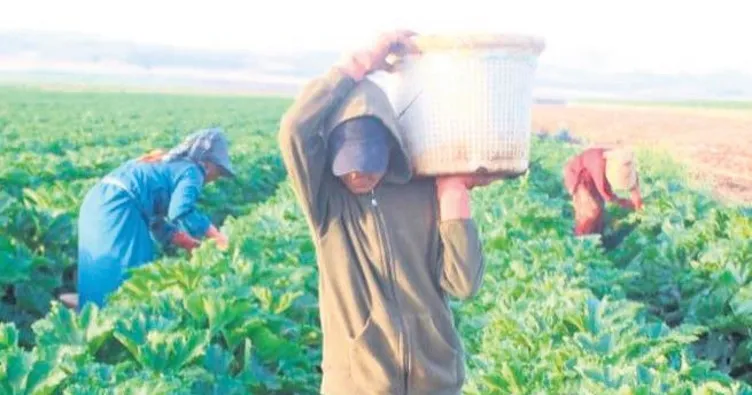 450 bin çiftçi kayıt altına alındı