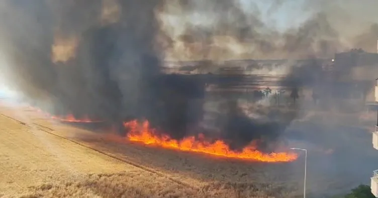 Nusaybin’de mayınlı sınır bölgesinde çıkan yangın buğday ekinlerine sıçradı