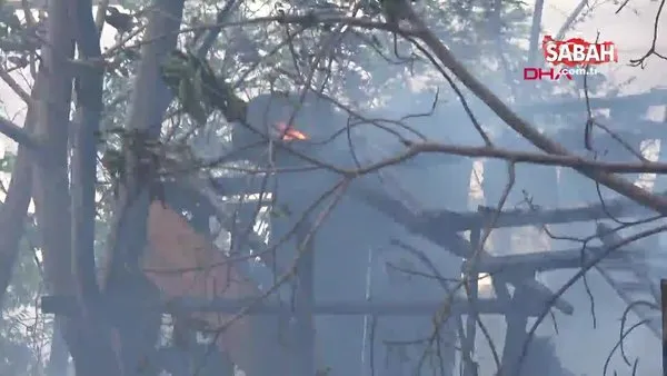 Son dakika: İstanbul Sultangazi'de ağaçlık alanda yangın | Video