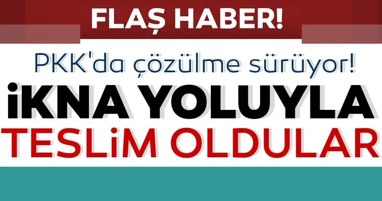 Bakanlık duyurdu: 2 terörist teslim oldu