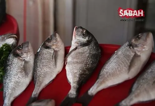 Fırat’ın balıkları yurt dışına ihraç ediliyor.