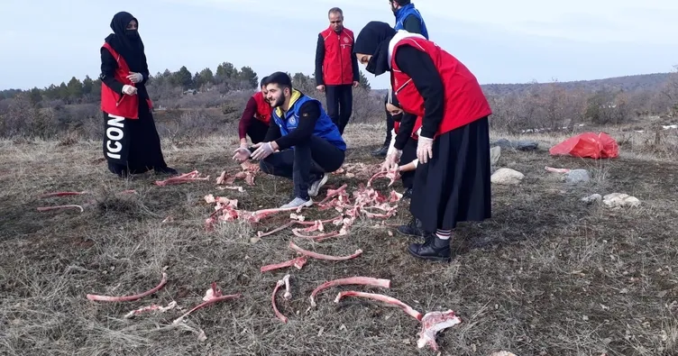 Sokak hayvanlarını unutmadılar