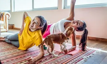 Yavru köpeklerle yapılan yoga yasaklandı! Sebebini bakanlık duyurdu