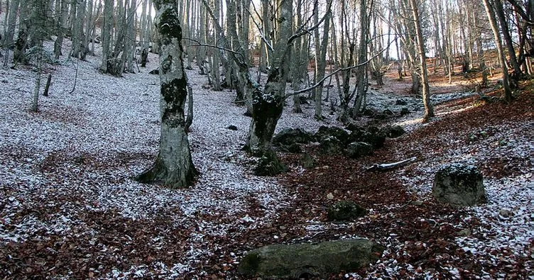 Abant’ta sonbahardan kalma yapraklara kar örtüsü