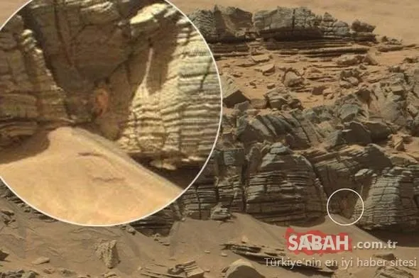 Mars'tan gelen fotoğraflar kan dondurdu! Dünyayı şaşkına çevirdi!