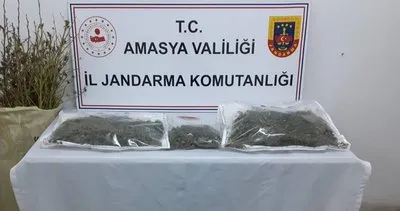 Amasya’da 57 kilo uyuşturucu ele geçirildi: 50 kişi tutuklandı! #amasya