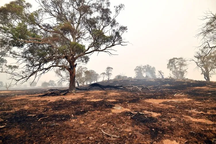 Avustralya yanıyor! NASA'dan korkutan görüntü...