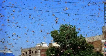 Pakistan felaketi yaşıyor: İkinci istiladan sonra olağanüstü hal ilan edildi
