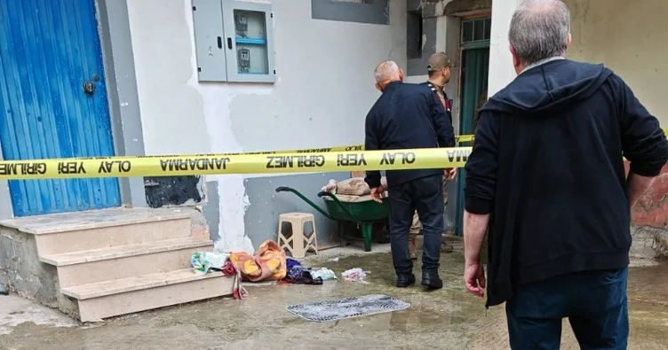 Ot biçme kavgası çifte cinayetle bitti