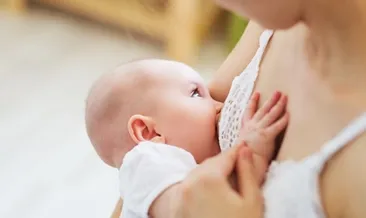 Annne sütünü artıran gıdalar nelerdir?