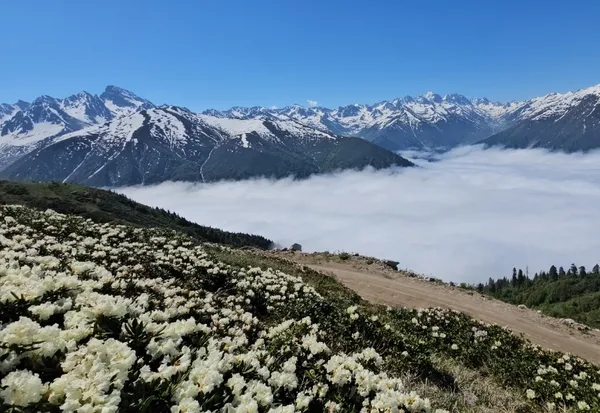 rize-yaylalarinda-kartpostallik-goruntu-sis-bulutlari-zirveleri-sardi-1782548481292.jpg