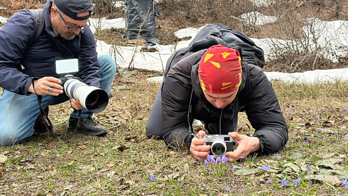 Dünyada sadece Türkiye’nin o noktasında yetişiyor!