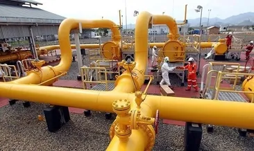 Enerji ithalatı faturası martta azaldı
