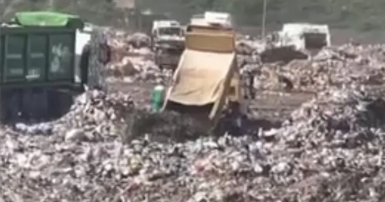 Osmangazi’de hayvan katliami