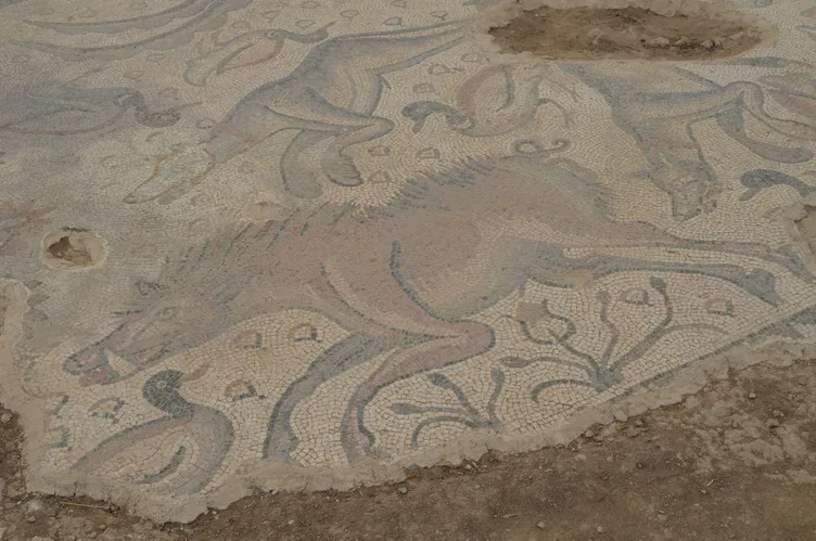 Tarlasında buldu: Tek parça halinde ve gerçekten etkileyici bir eser!