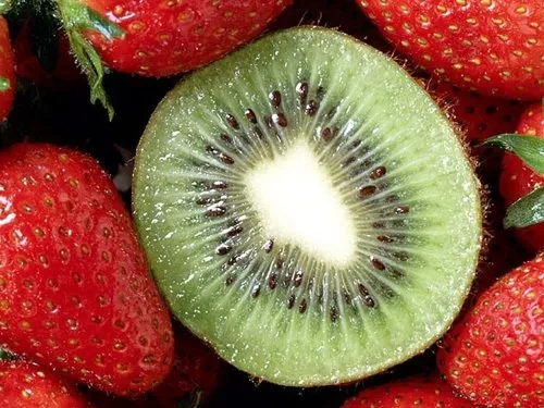 10 numara bir cilt çin 10 altın kuralı öğrenin