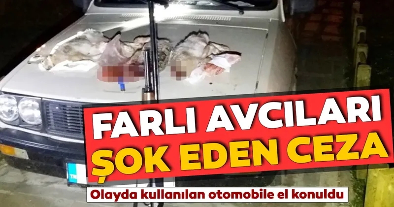 otomobil fariyla tavsan avina ceza sok