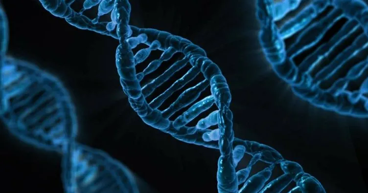 Tüketilen gıdanın DNA’ya ’net’ etkileri ortaya çıktı