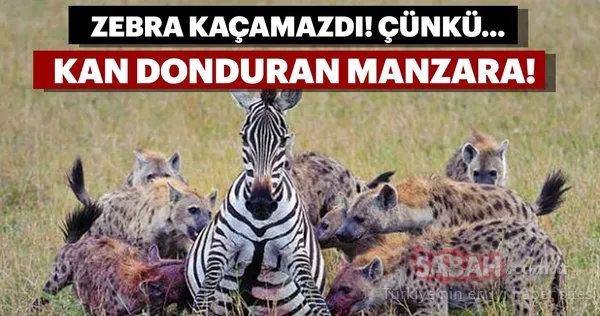 Dehşet veren saldırılar!