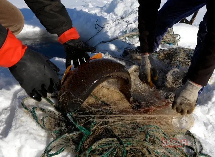 Eskimo usulü avcılıkta sezonun en büyük balığını yakaladı!