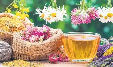 Mide yaralarına bitkisel şifa