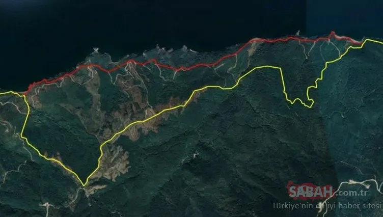 Marmara Denizi ve Adalar’a bakanlık koruması: 37 bilim insanı çalıştı, tek tek tespit edildi