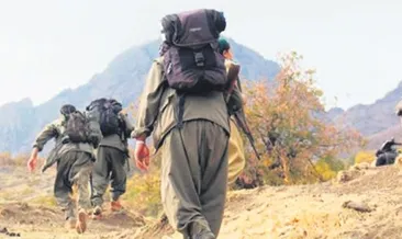 Hainlerin yeni inleri Alpler!