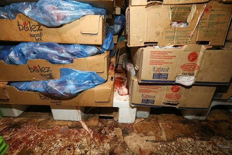 Buca zabıtasından ‘korku filmi’ gibi dönerci baskını