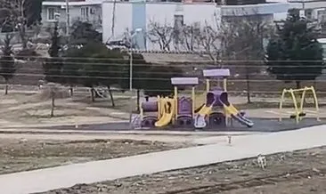 Sokak köpekleri okula giden çocuğa saldırdı #adiyaman
