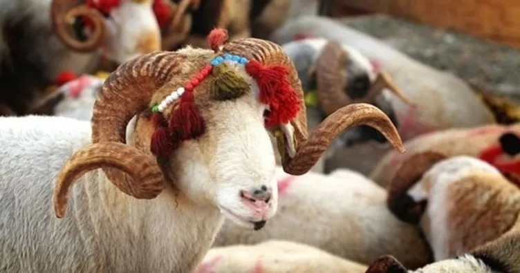 https www sabah com tr yasam 2021 05 26 kurban bayrami 2021 ne zaman kurban bayrami hangi aya denk geliyor tatili kac gun olacak paging 3