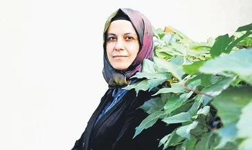 Bir cümleden fazlası