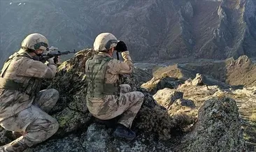 127 terörist etkisiz hale getirildi