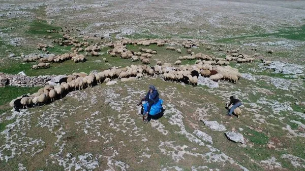 Göçerlerin umudu 'özgür yaylalar'