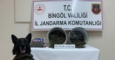 Bingöl’de 2 kilo esrar ele geçirildi 