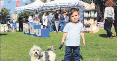 Beşiktaş’ta en güzel köpekler yarıştı