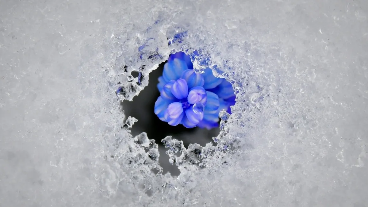 Kışın soğuğu kırılıyor! 2026 Cemre Düşme Tarihleri: İlk cemre ne zaman ve nereye düşecek?