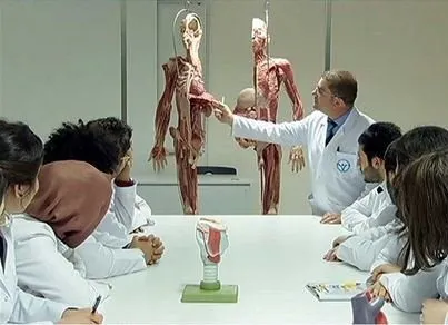 ’’Plastine’’ kadavra ile anatomi dersi