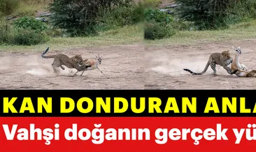 Vahşi doğadan kan donduran anlar
